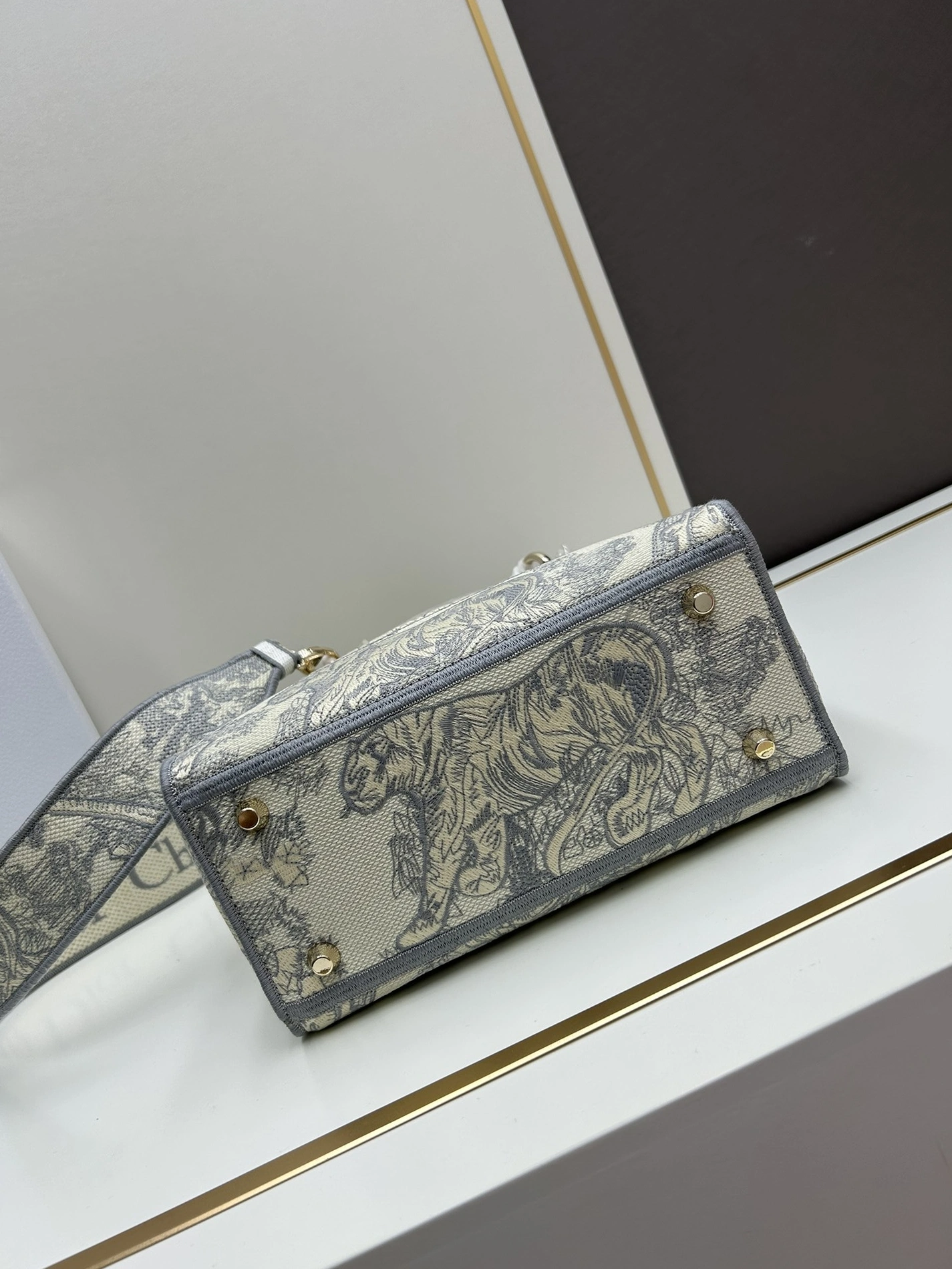 AllSeason 1232 Christian Dior AAA Quality Handbags For Women - Image 5