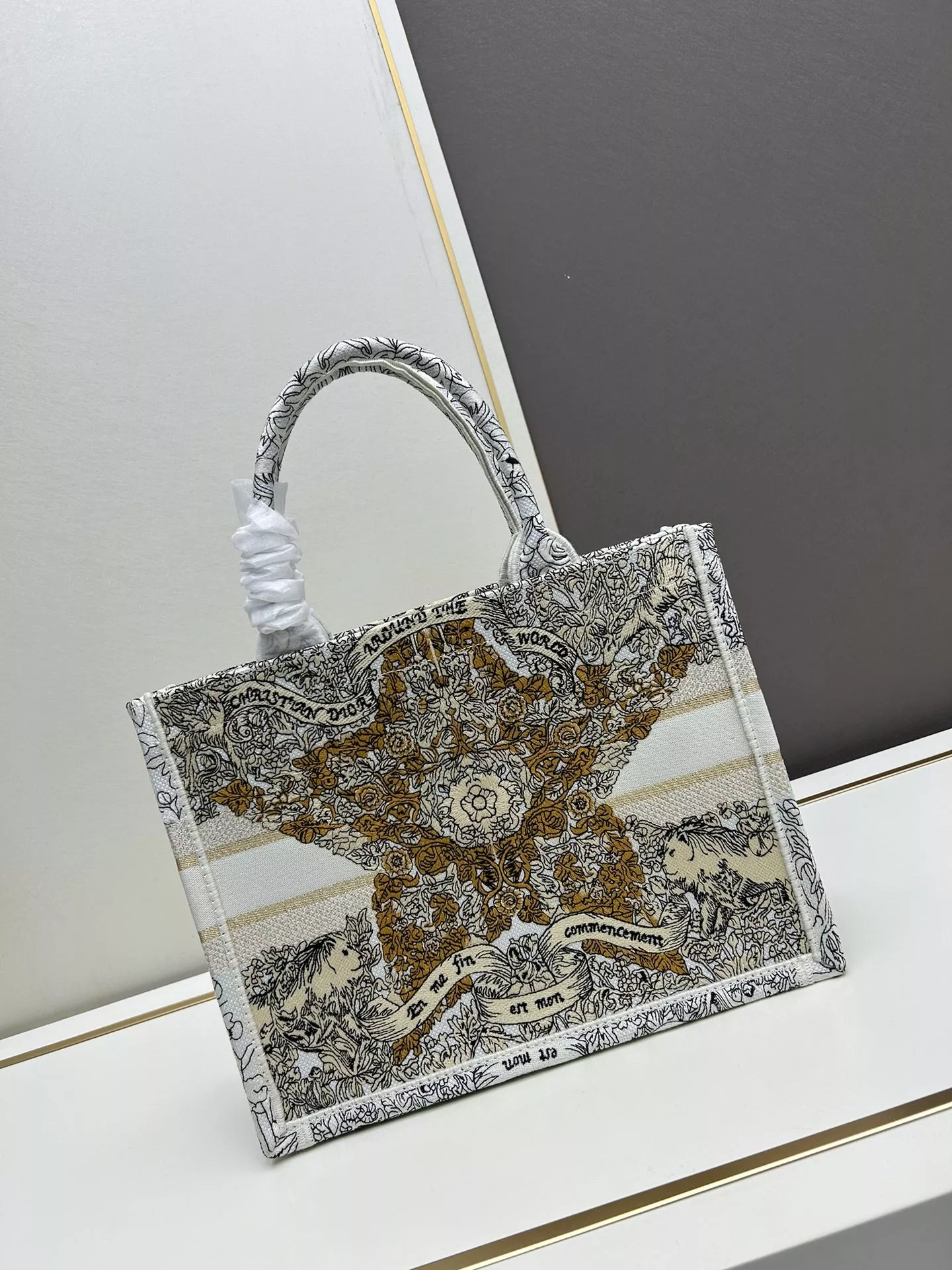 BestValue 2657 Christian Dior AAA Quality Tote-Handbags For Women - Image 3