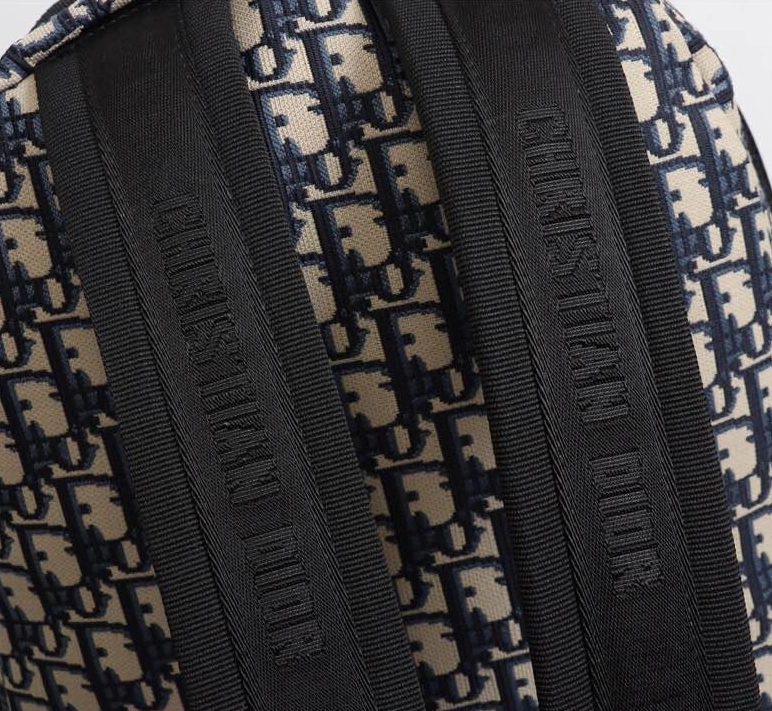 Christian Dior AAA Man Backpacks Affordable 1034 - Image 6