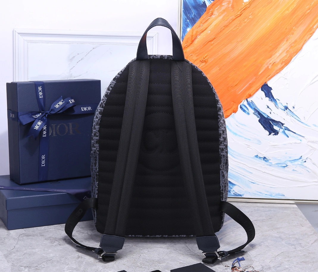 Christian Dior AAA Man Backpacks Breathable 416 - Image 3