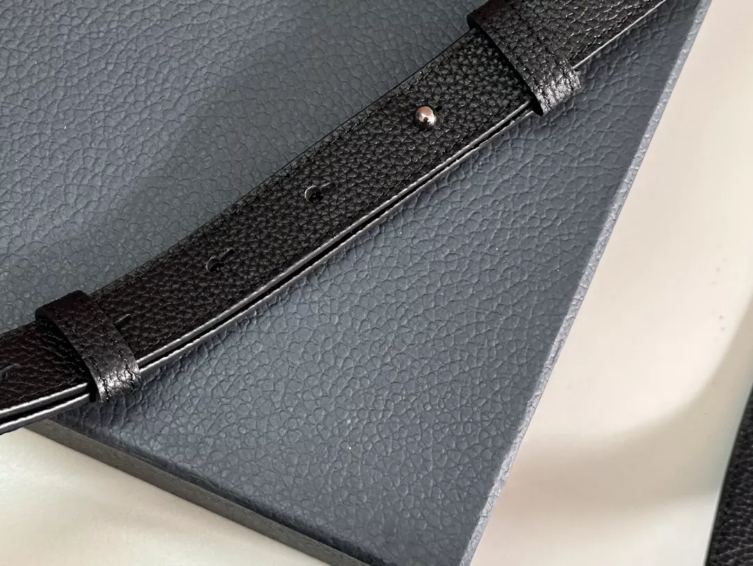 Christian Dior AAA Man Messenger Bags Unique 3990 - Image 6