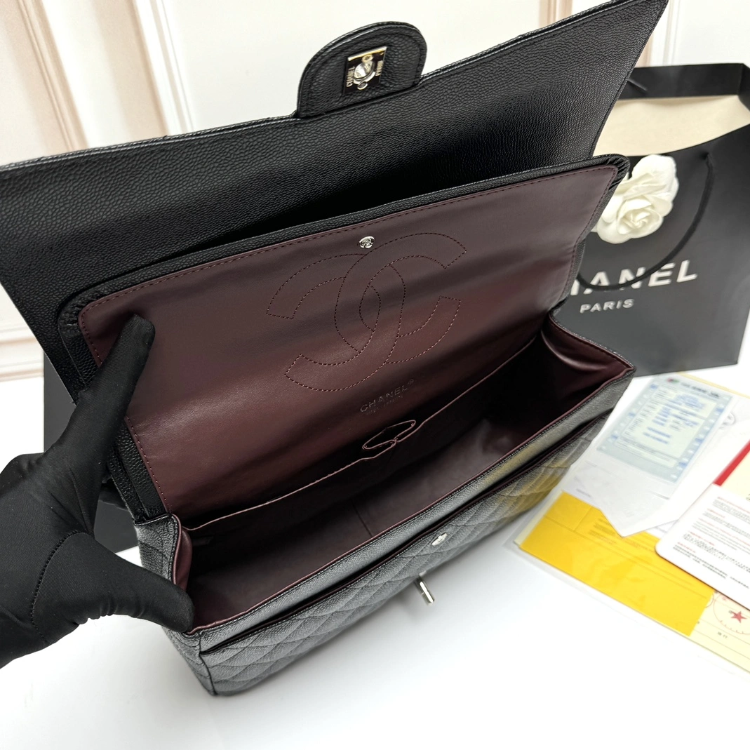 Elegant 289 Chanel AAA Quality Shoulder Bags For Women - Image 8