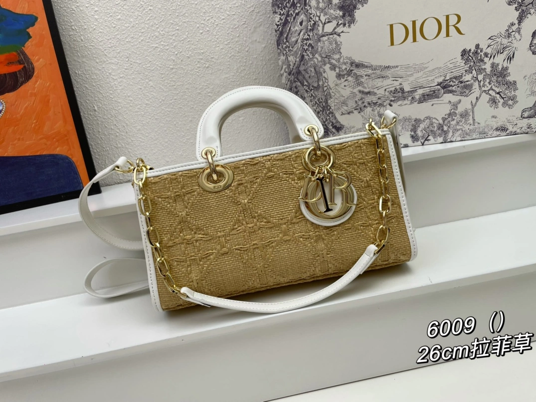 Fashionable 6242 Christian Dior AAA Quality Handbags For Women