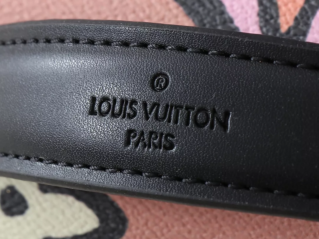 GoAnywhere 5357 Louis Vuitton AAA Quality Messenger Bags For Women - Image 5