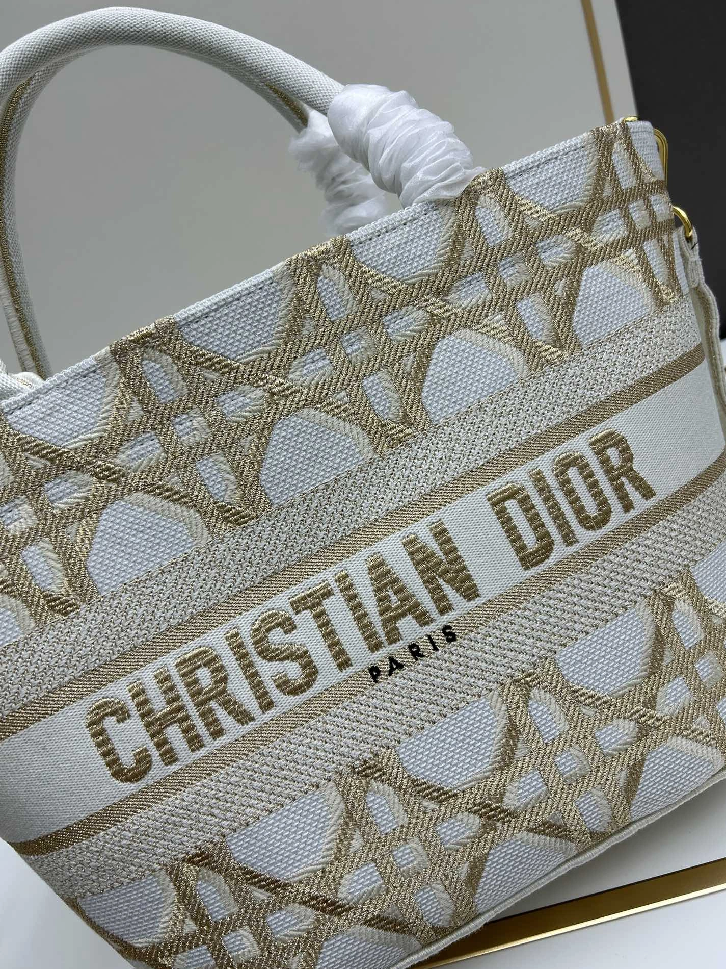 GoAnywhere 6003 Christian Dior AAA Quality Handbags For Women - Image 4