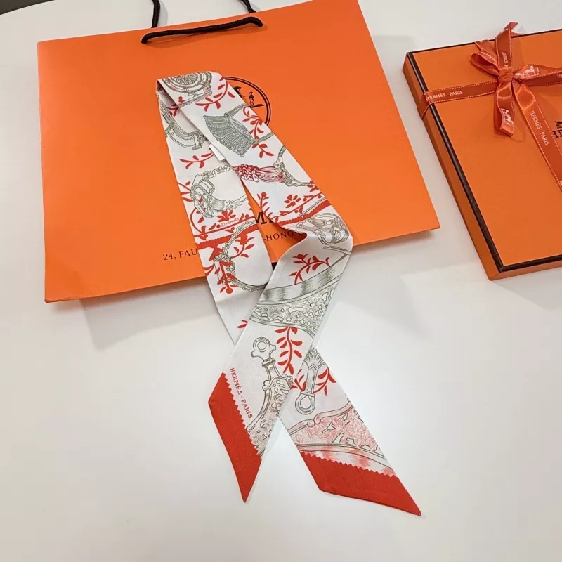 GoAnywhere 8760 Hermes Silk Scarf - Image 3