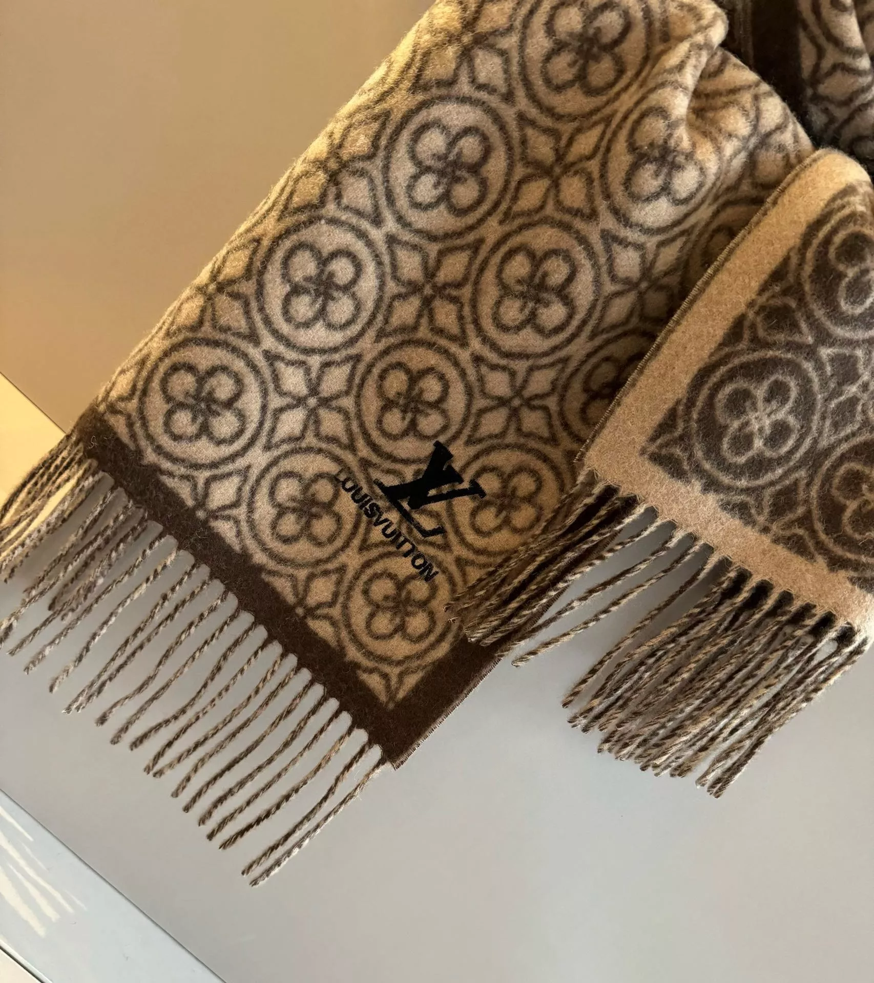 Louis Vuitton Scarf For Women Trendsetting 482 - Image 3