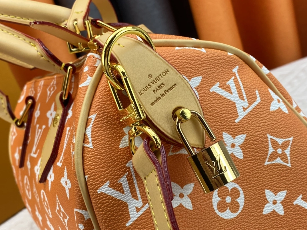 NewStyle 1740 Louis Vuitton AAA Quality Handbags For Women - Image 6