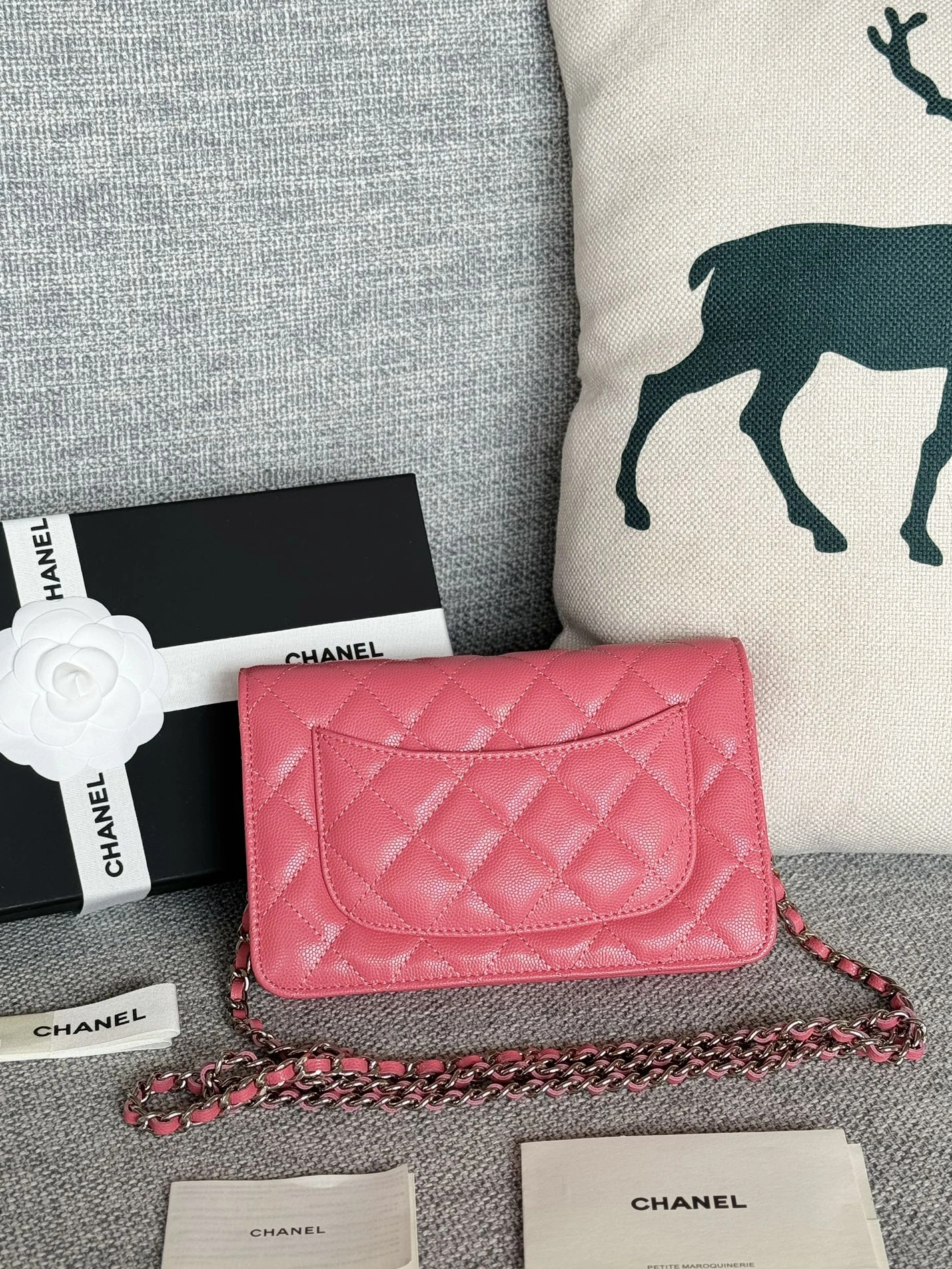 StreetReady 7790 Chanel AAA Quality Messenger Bags In Silver For Women