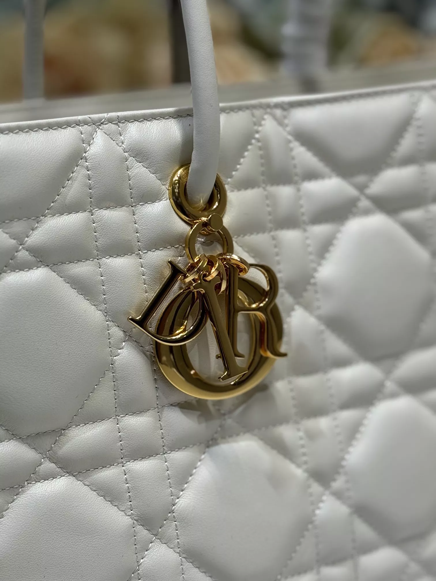 Versatile 4403 Christian Dior AAA Quality Shoulder Bags For Women - Image 4