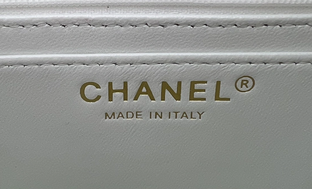 Vibrant 4255 Chanel AAA Quality Messenger Bags For Women - Image 7