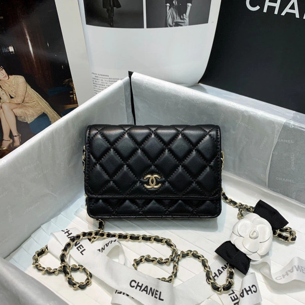 CHANEL MINI WALLET ON CHAIN StreetReady 1341 - Image 11